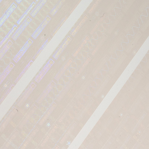 ID Overlay Holograms